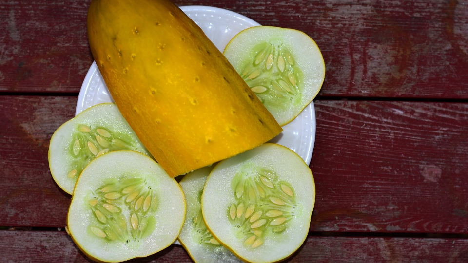 Cleaning And Storing Cucumber Seeds