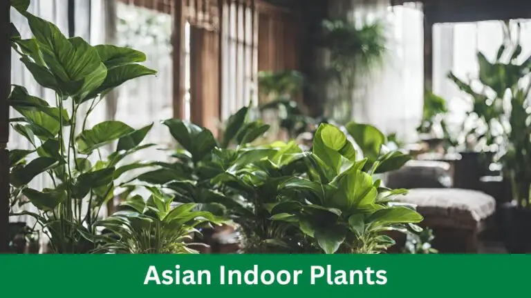 Asian Indoor Plants: 4 Easy Care Tips for a Lush Home