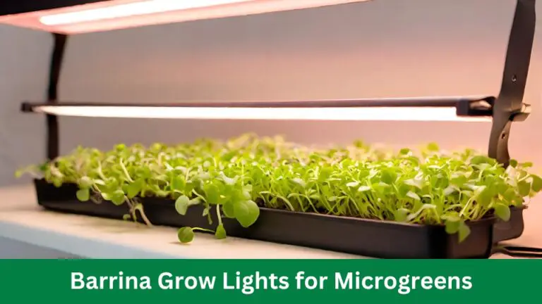 Barrina Grow Lights for Microgreens: Transform Your Indoor Garden!