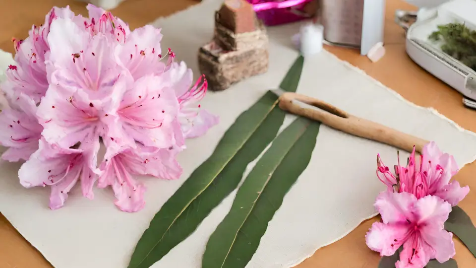 Crafting Diy Projects With Rhododendron