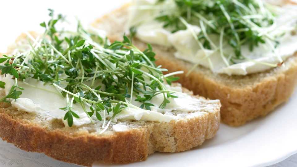 Incorporating Cress Into Your Diet
