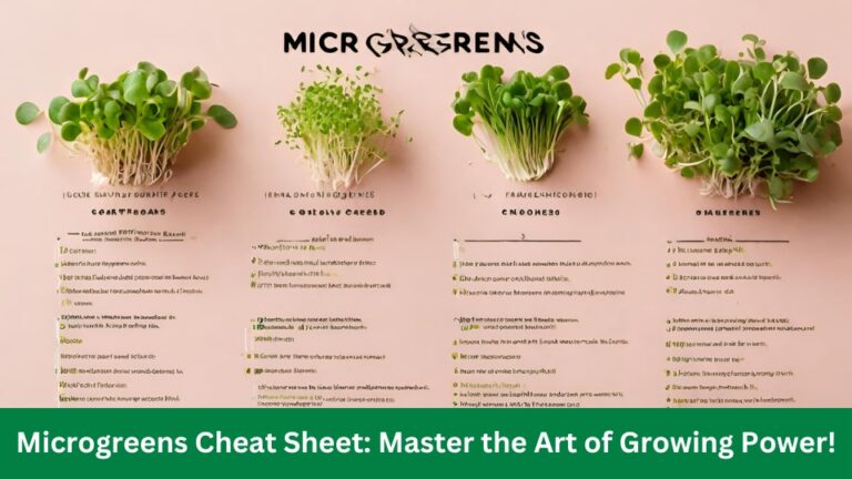 Microgreens Cheat Sheet: Master the Art of Growing Power!
