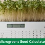 Microgreens Seed Calculator: Grow Your Greens with Precision