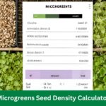 Microgreens Seed Density Calculator