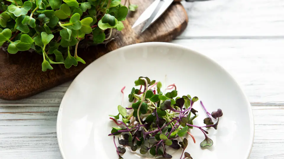 Recipes And Creative Uses For Dehydrated Microgreens