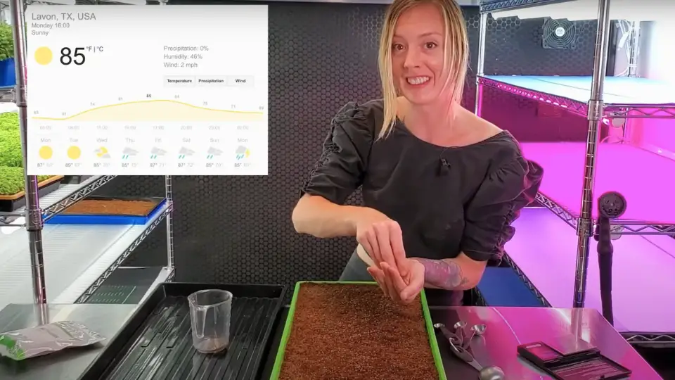 Soaking And Preparing The Seeds