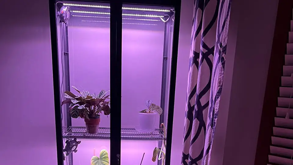 Success Stories: Barrina Grow Lights In Action