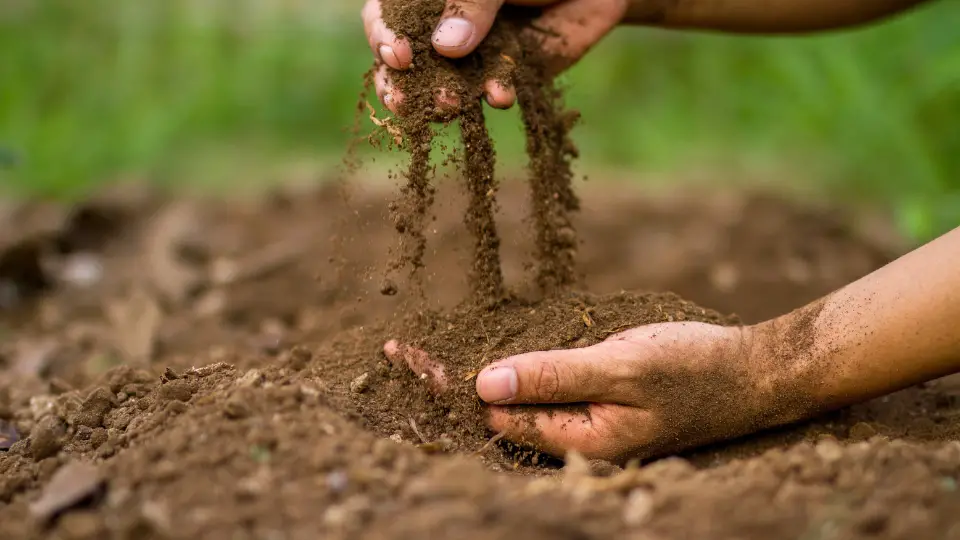 Creating The Perfect Soil Blend