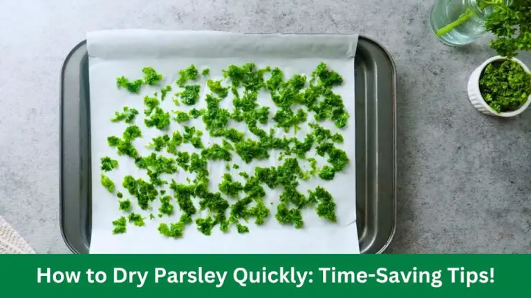 How to Dry Parsley Quickly – Time Saving Tips!