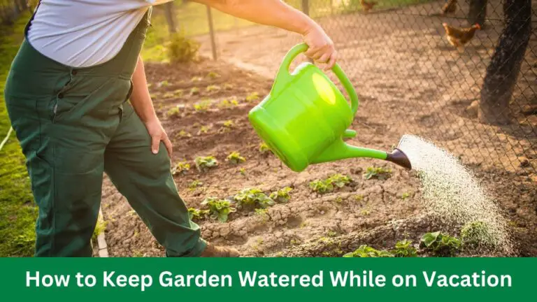 How to Keep Garden Watered While on Vacation