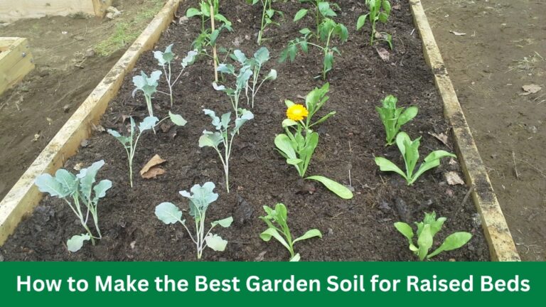 How to Make the Best Garden Soil for Raised Beds