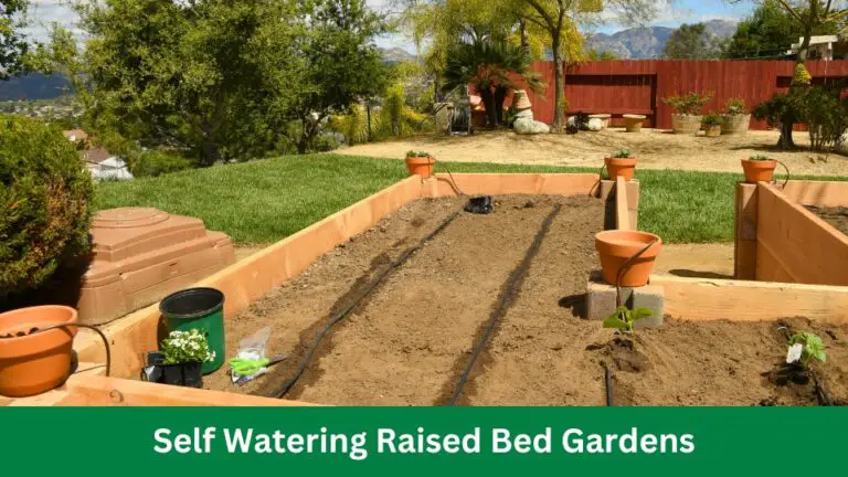 Self Watering Raised Bed Gardens: Cultivate with Ease!