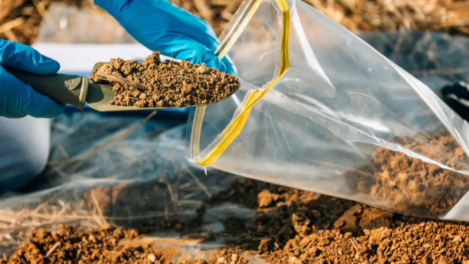 Starting With The Basics: Soil Composition