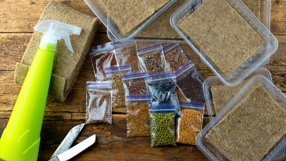 Setting Up Your Microgreen Growing Kit
