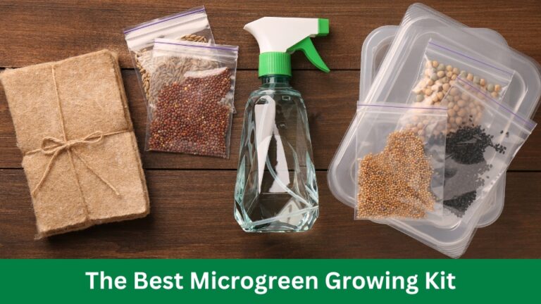 The Best Microgreen Growing Kit: A Step-to-Step Guide