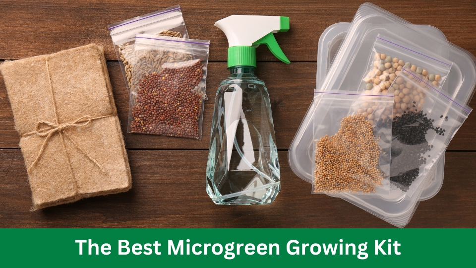 The Best Microgreen Growing Kit