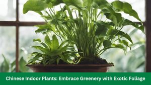 Chinese Indoor Plants Embrace Greenery with Exotic Foliage